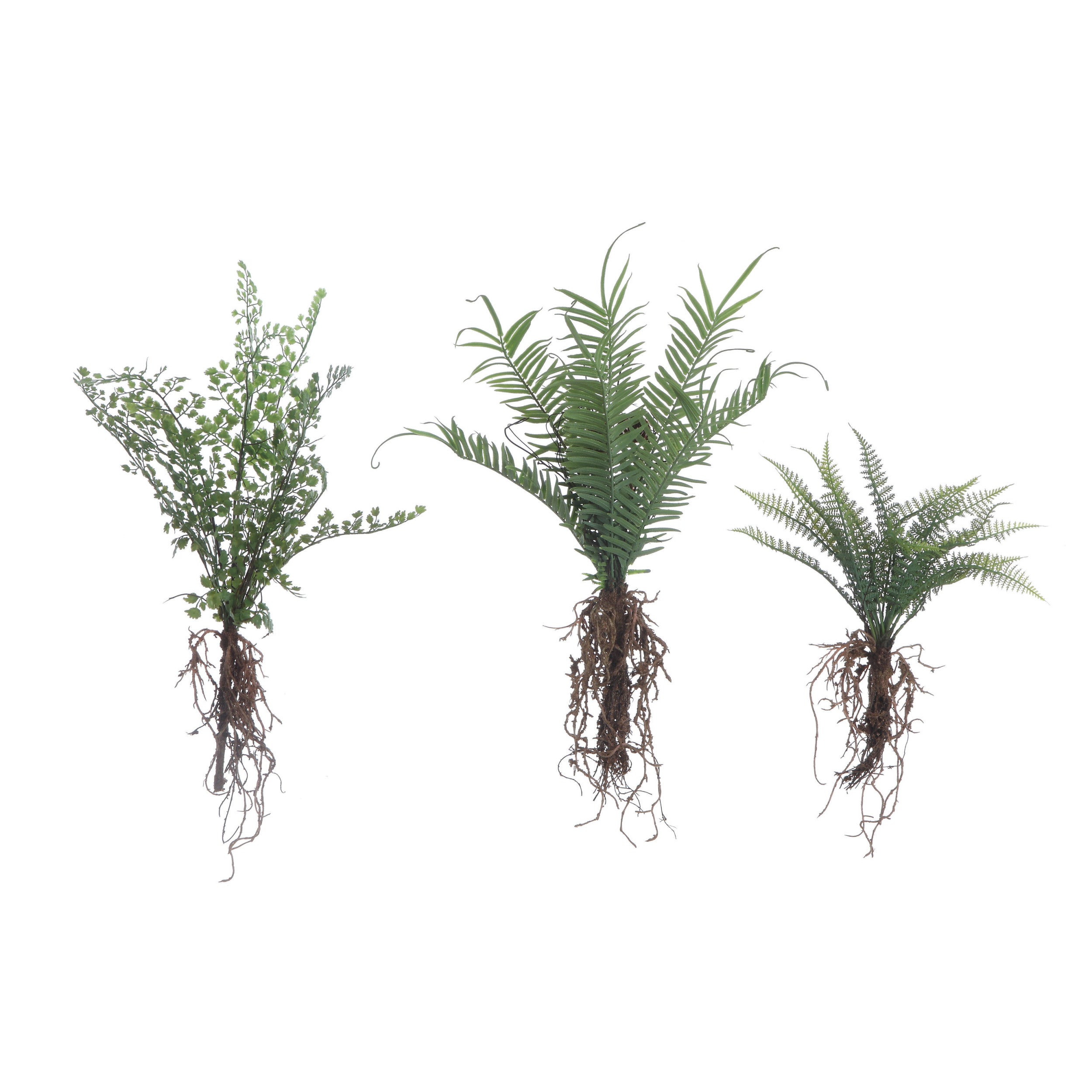 Faux Fern with Exposed Roots, 3 Styles